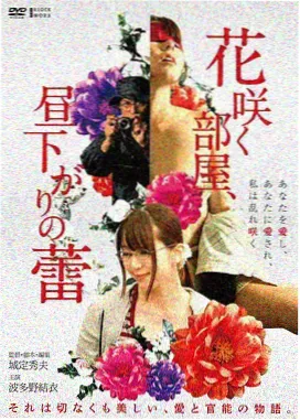 薄荷岛谜案电影海报